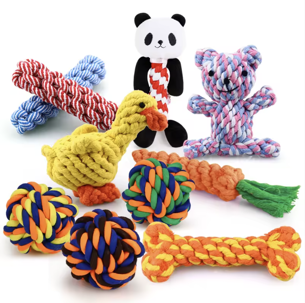 Accessoires et jouets pour animaux